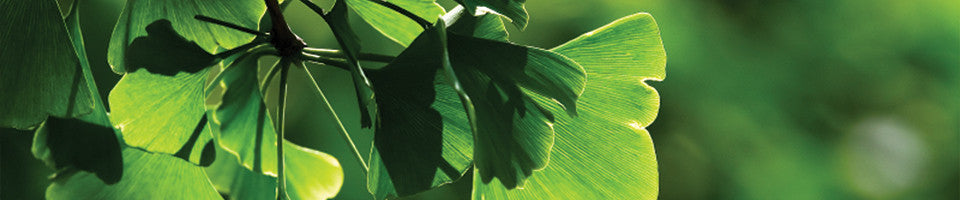 Antioxidants