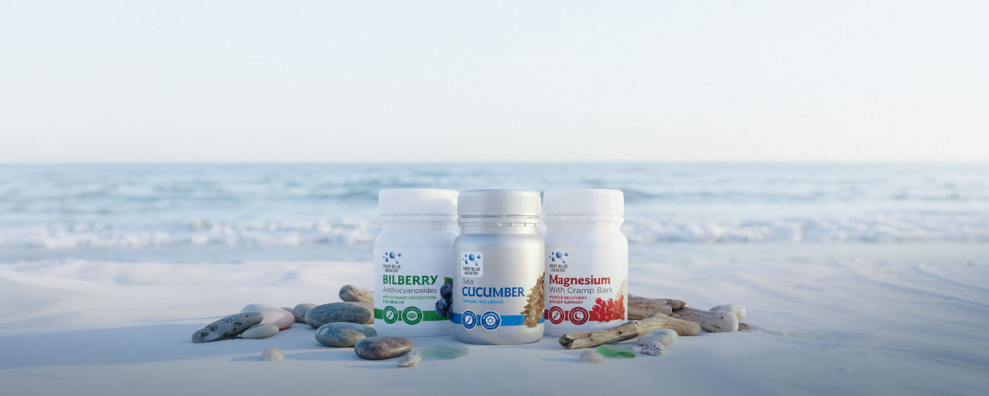 Deep Blue Health supplement bottles arranged on a NZ beach with sea cucumbers and natural ingredients