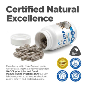 Deep Blue Health Oyster — 12