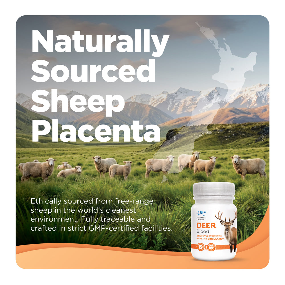 Sheep Placenta listing graphic — tile 05