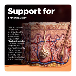 Sheep Placenta listing graphic — tile 10