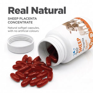 Sheep Placenta listing graphic — tile 11
