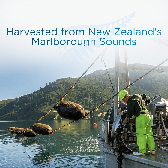 Green Lipped Mussel — Buy 3 & Save 15%