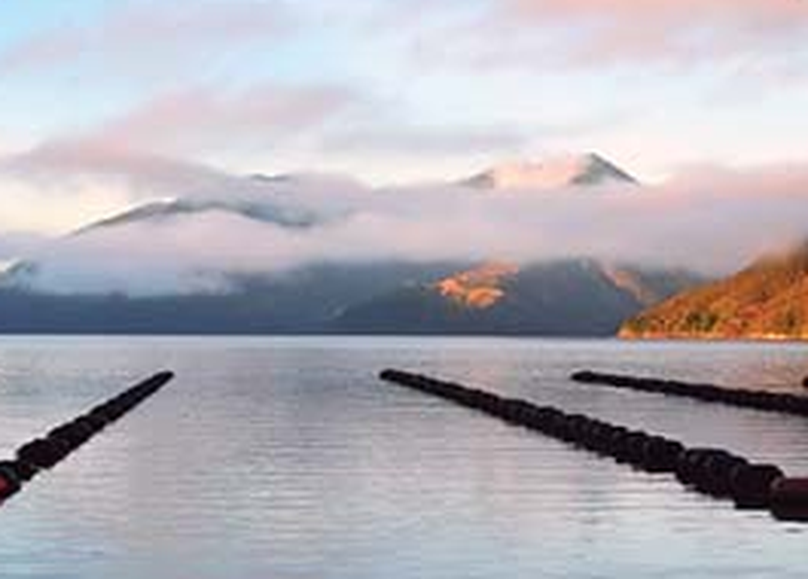 <p>NZ Coastal Sourcing</p>