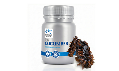 Sea Cucumber