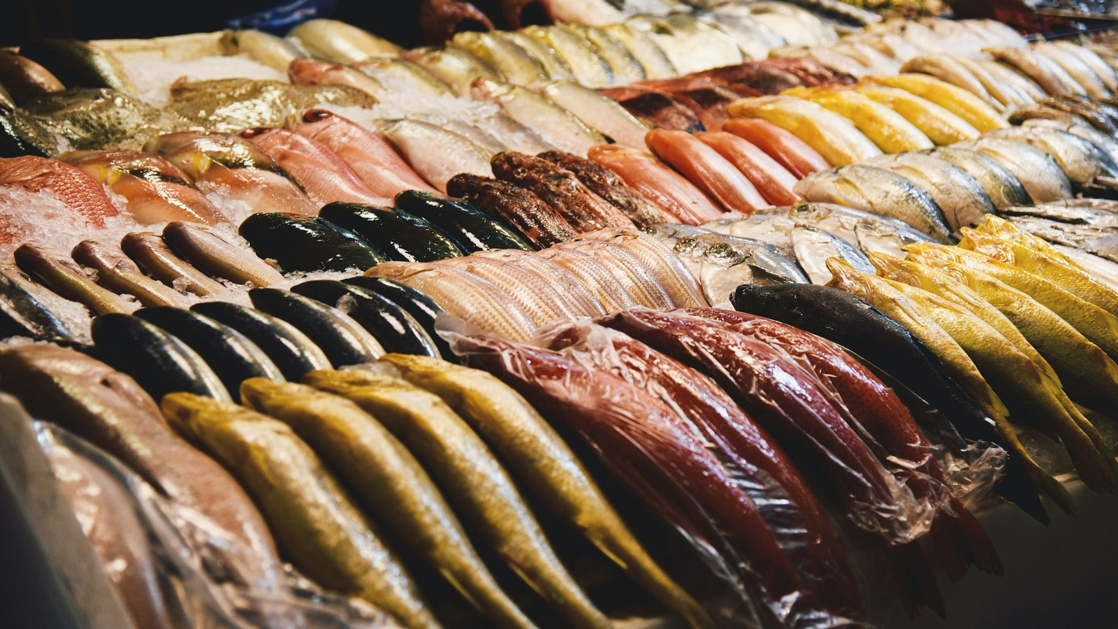 <p>Not All Fish Oils Are The Same</p>
