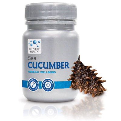 Sea Cucumber