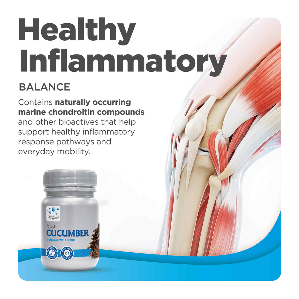 Sea Cucumber healthy inflammatory balance product tile
