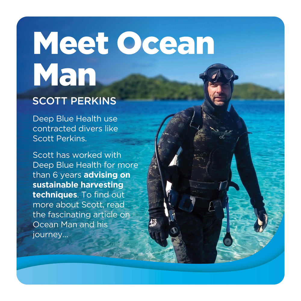 Sea Cucumber Meet Ocean Man Scott Perkins product tile
