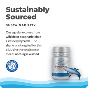 shark-squalene-tile-11