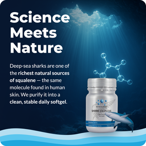 shark-squalene-tile-6