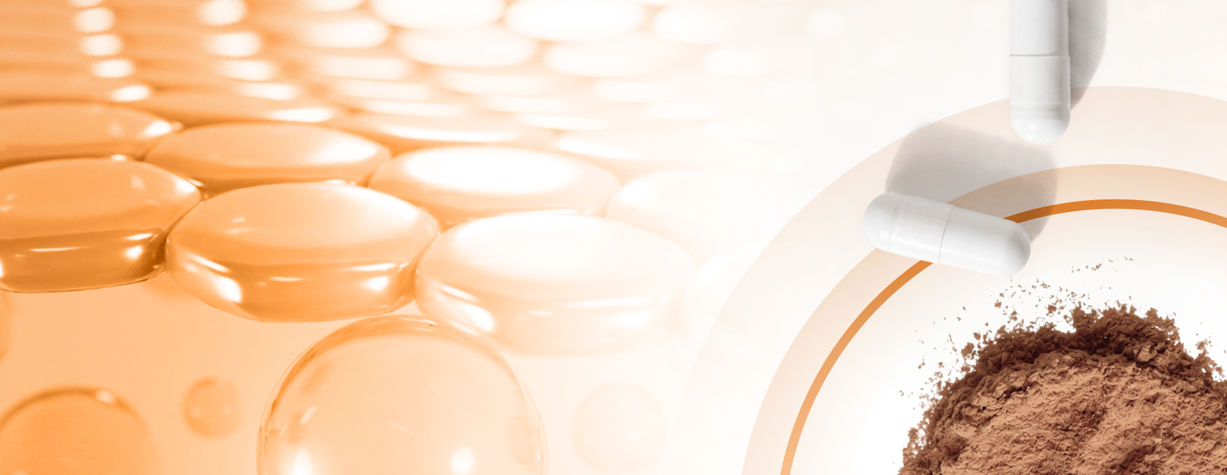 Supporting Skin Elasticity From Within